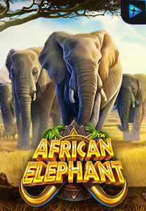 African Elephant